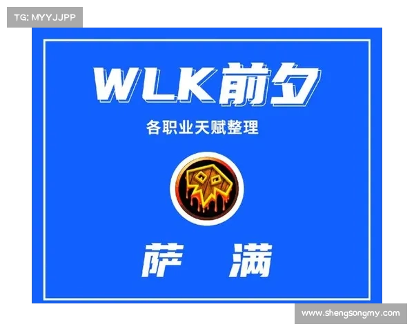 提升元素萨满输出的十个高效方法解析与实践指南 提升元素萨满输出的十个高效方法解析与实践指南