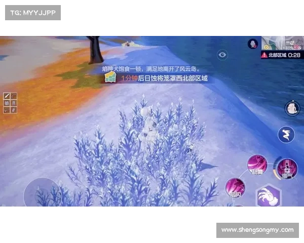 风云岛行动隐藏宝箱获取技巧与位置攻略全面解析 风云岛行动隐藏宝箱获取技巧与位置攻略全面解析