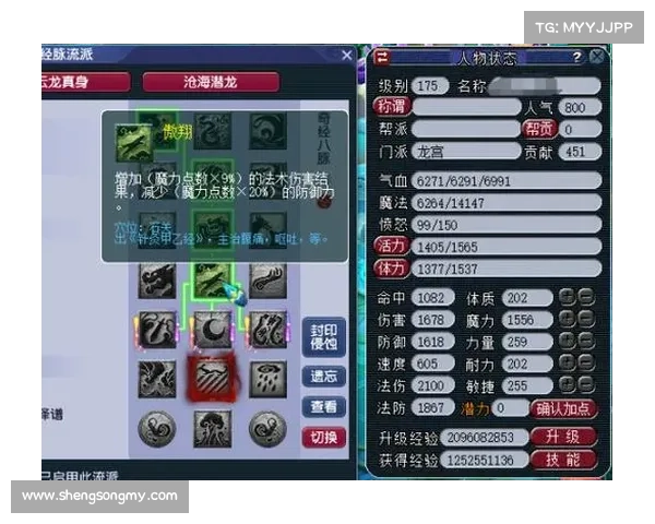 梦幻西游龙宫最优加点攻略全面解析与实战建议