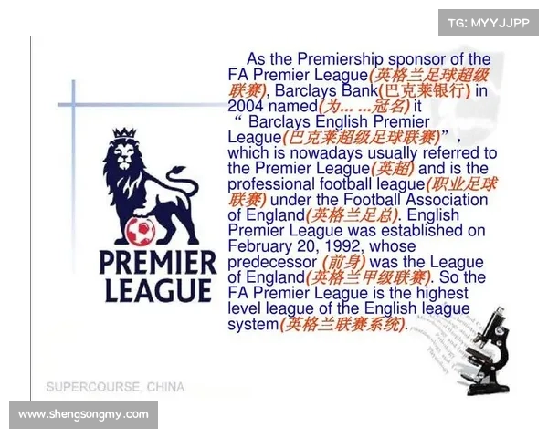 从英国足球协会谈足总一词的起源发展及其文化意义 从英国足球协会谈足总一词的起源发展及其文化意义