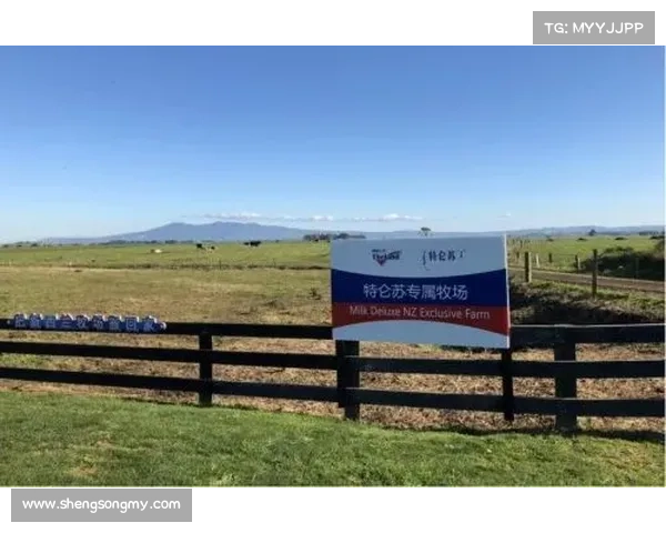 安联成为赞助商背后意味着品牌影响力与合作价值的深层体现